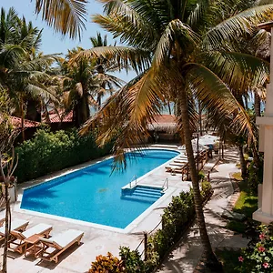 Petit Lafitte Beach Front & Hotel Playa del Carmen